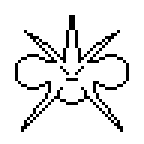 key_garde_florida_fake